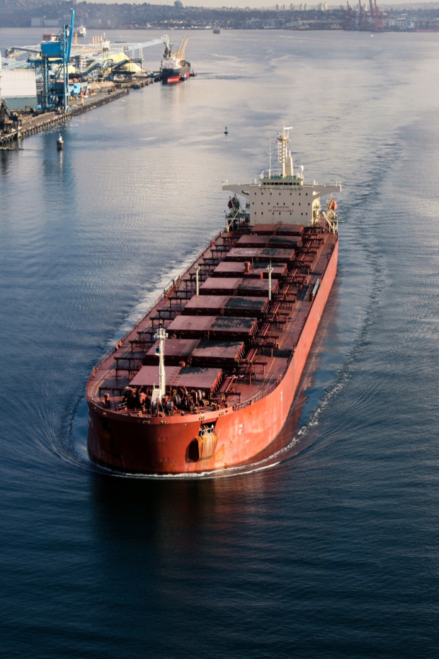 Hold Inspection Services